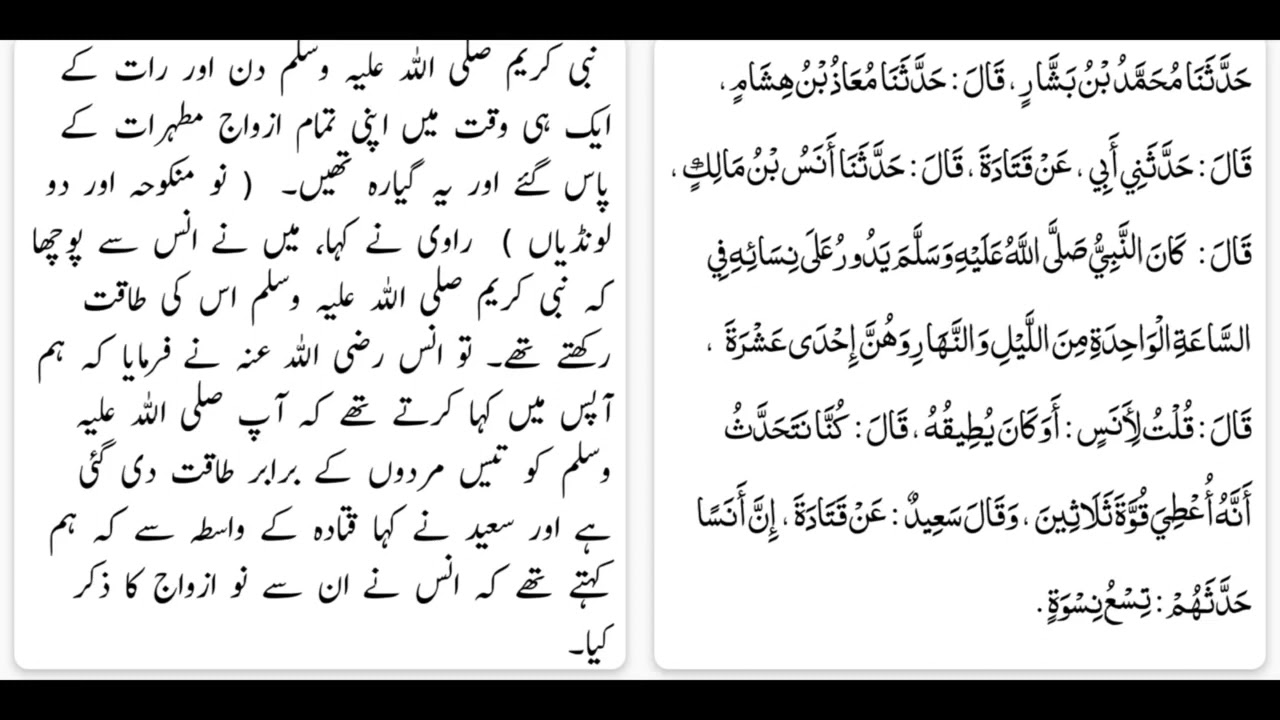 sahih bukhari 268#278#283