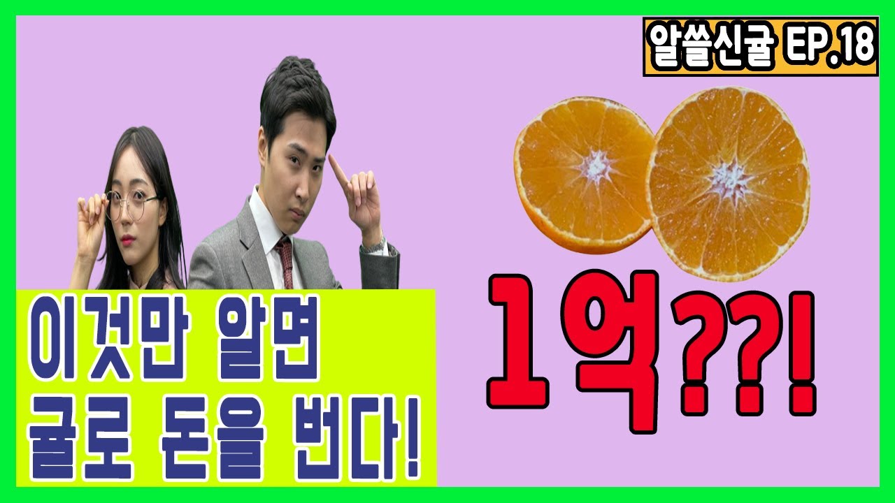 [알쓸신귤] 감귤 팔아서 1억 벌기