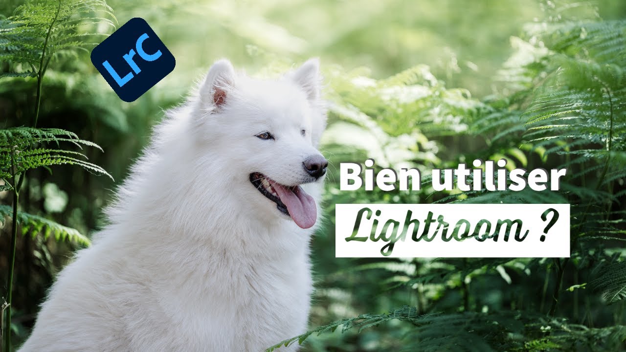 Comment ajouter du punch à tes photos avec Lightroom : Astuces et conseils