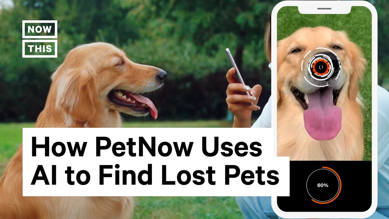 This App Uses Facial Recognition to Identify Lost Pets