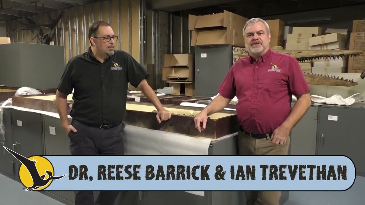 New Sternberg Fossils