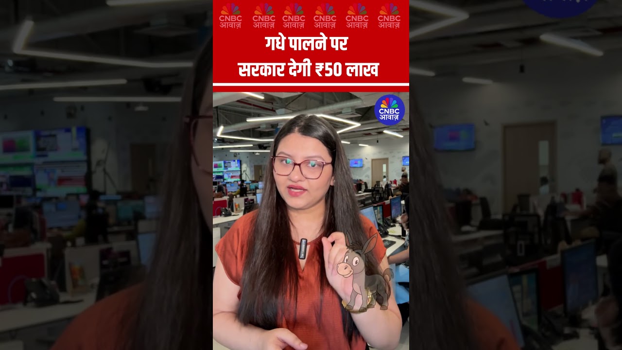 गधे पालने पर सरकार देगी ₹50 लाख #Donkeys #Subsidy #GovtSchemes #shorts N18S