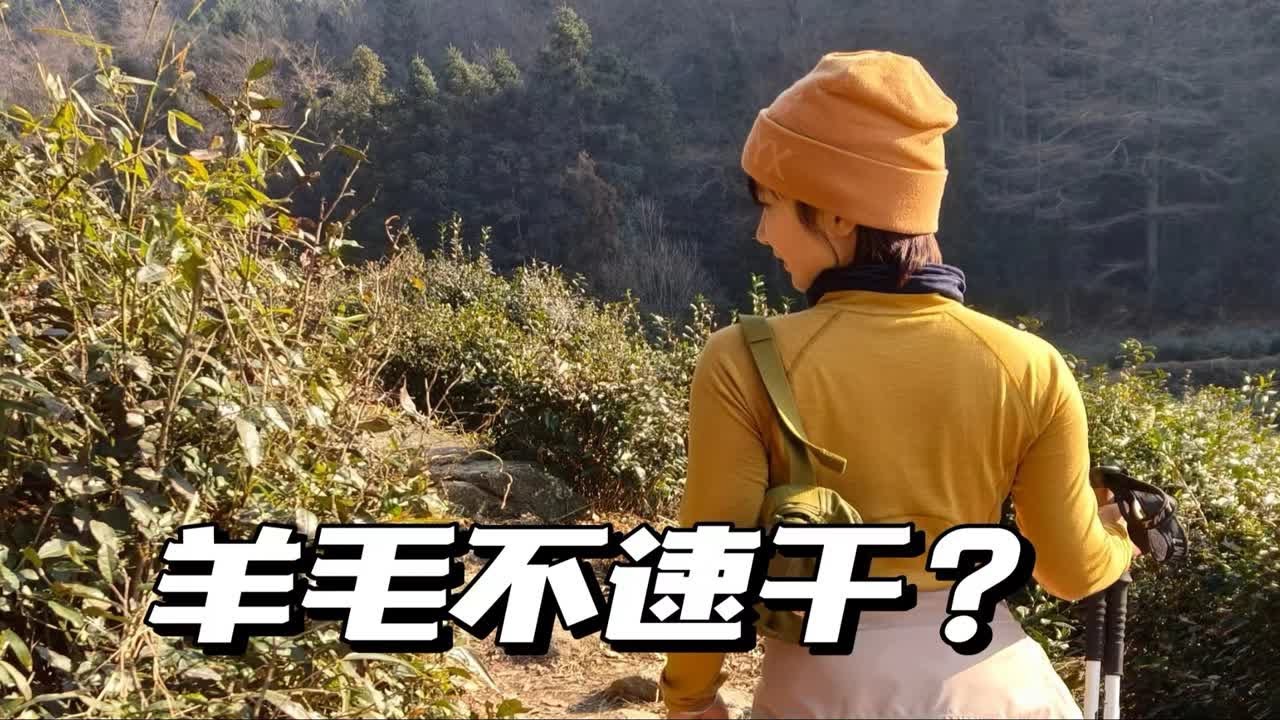 真相！美丽诺羊毛真的不速干