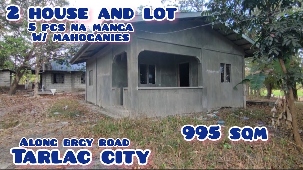 Lot# 615  Murang house and l0t 2 house w/ mango trees nd mahoganies along brgy road 995sqm 1.5M only