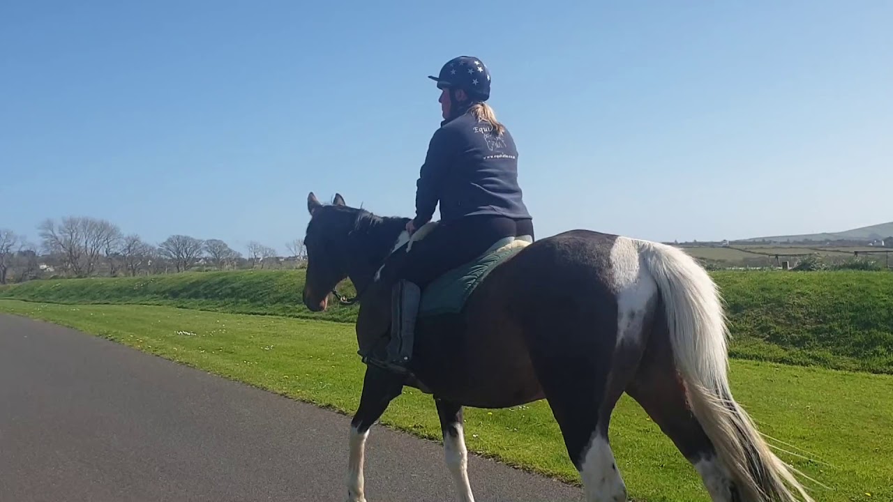 Total Contact Saddle Ride