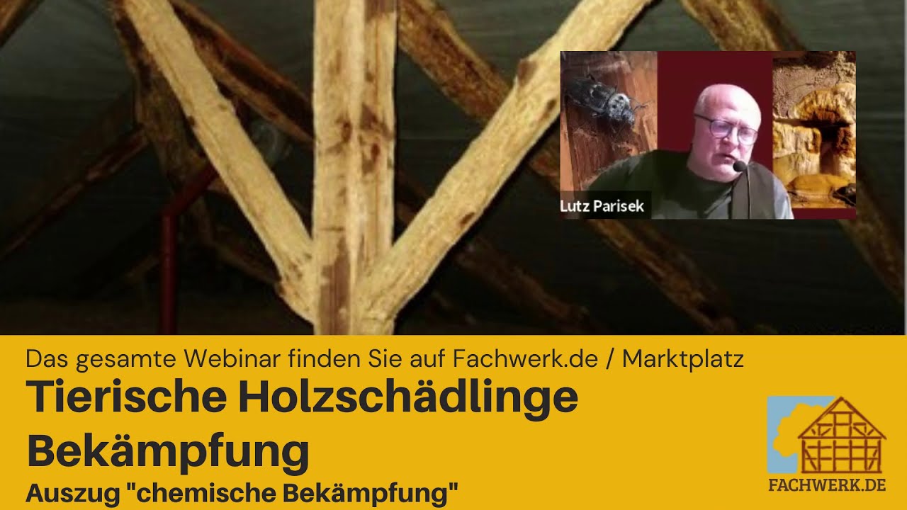 Tierische Holzsch&auml;dlinge - Chemische Bek&auml;mpfung