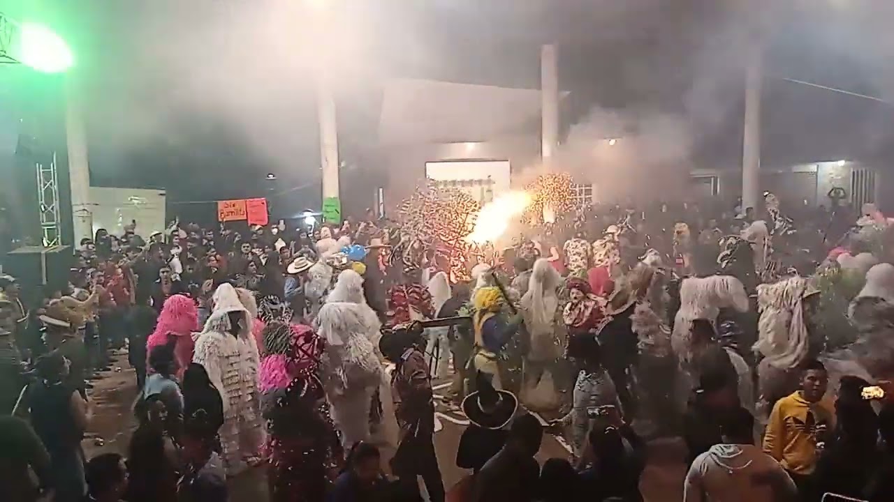 Carnaval San Bartolo Tutotepec Hgo. 2022  (Torito)