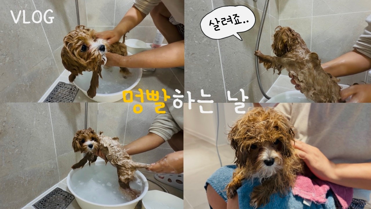 멍빨하는 날