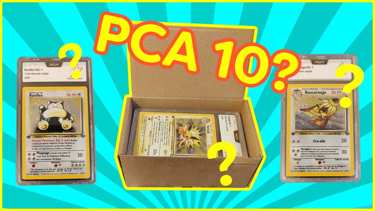RÉCEPTION PCA #1 ! ON DÉCOUVRE LES NOTES !? Combien de 10 allons nous avoir ?