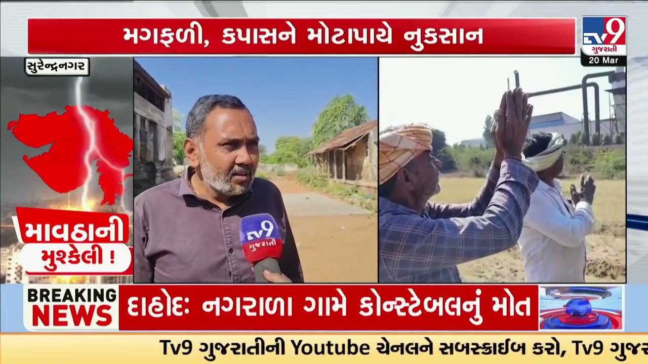Unseasonal rain batters farmers, crops severely damaged | Surendranagar | Gujarat | TV9Gujarati