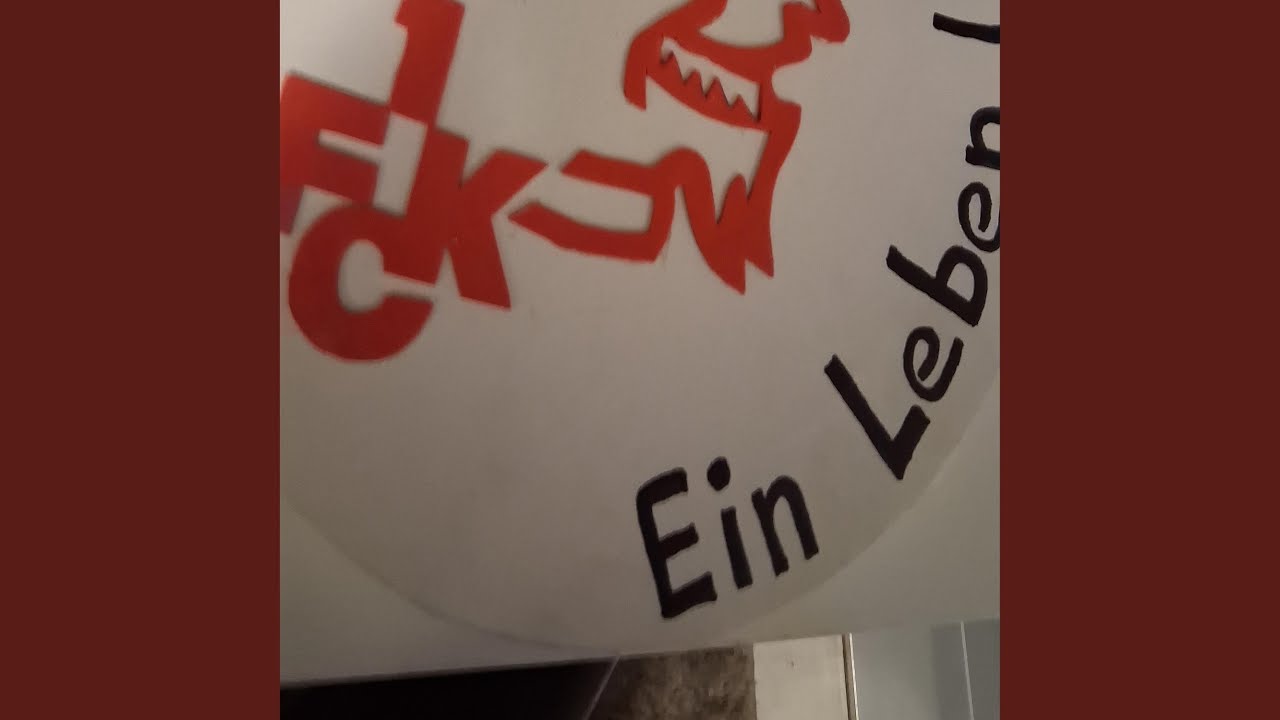 Meine Liebe (Special Version)