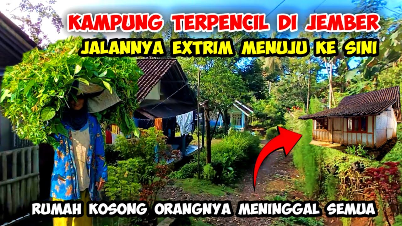 Subhanallah !! Suasana Kampung Terpencil Di Pelosok Jember