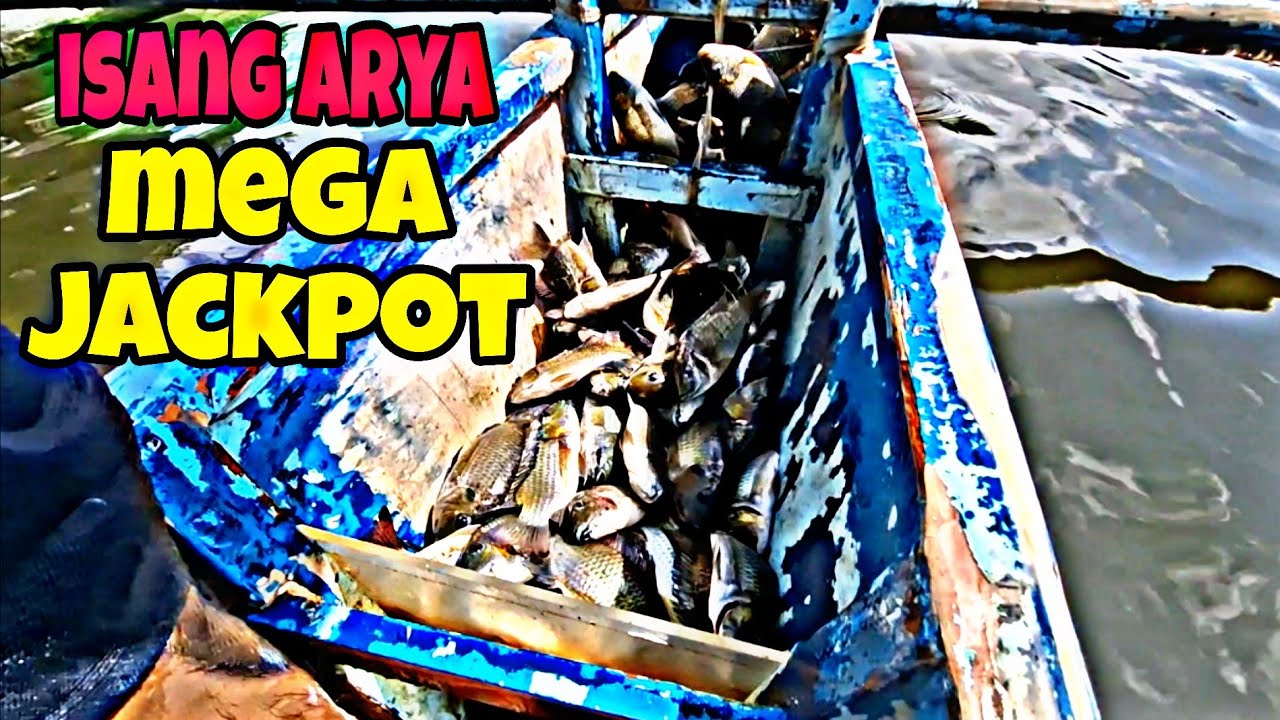 PART#5 TUMAMA SA TILAPYA BUNGKOS ANG LAMBAT@JaperSniperOfficial @kuyadangtv8604 