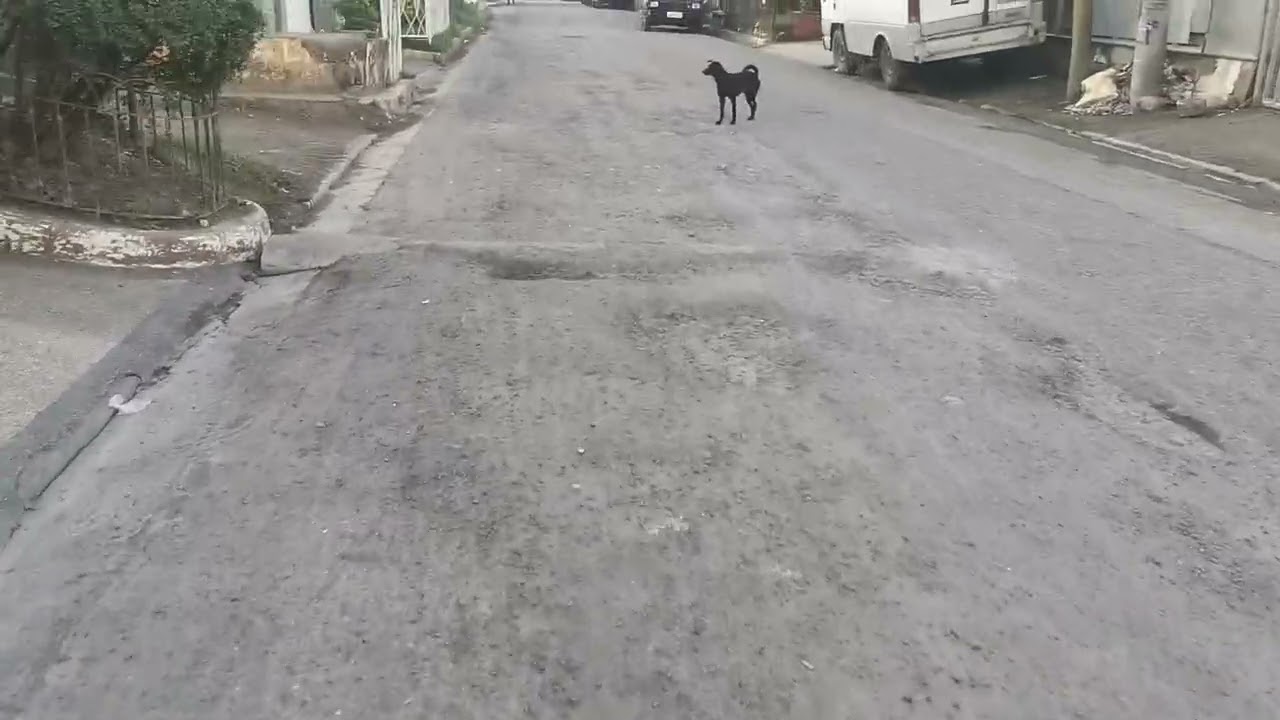 Short Walk Outside