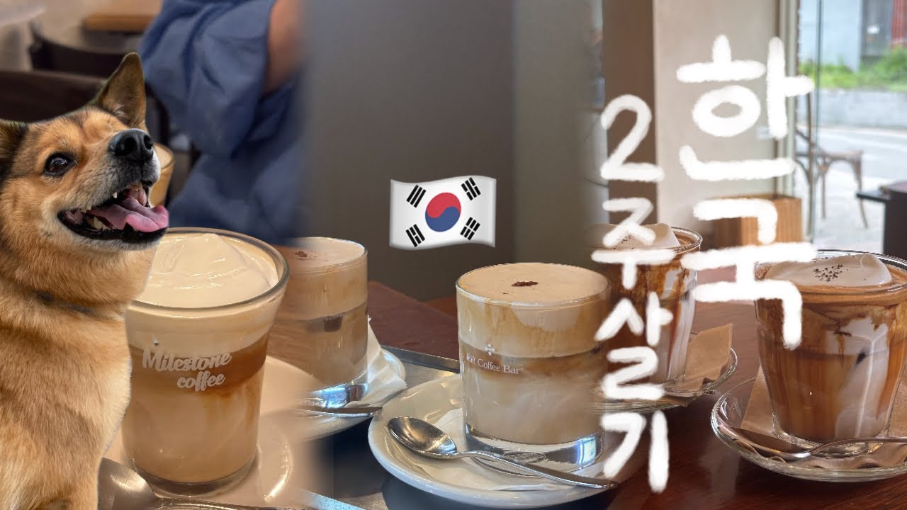 🇰🇷 한국에서 2주 살기