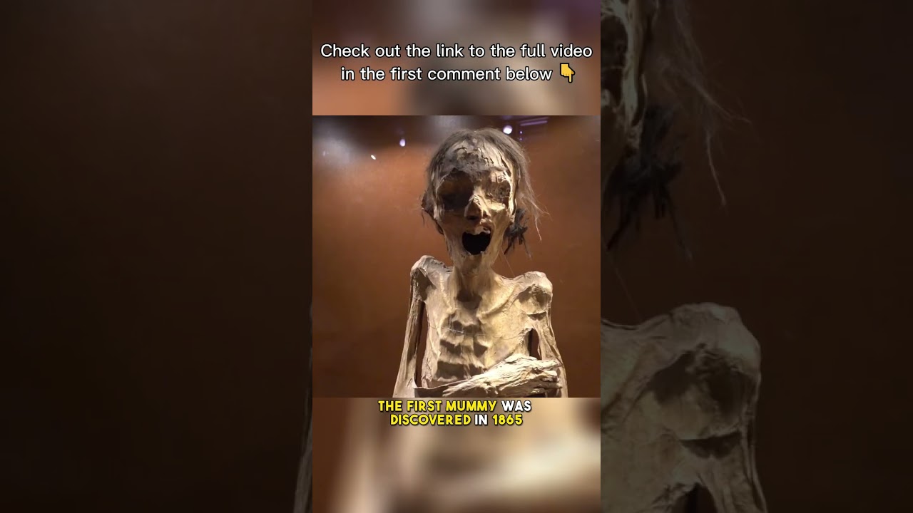 Guanajuato's Natural Mummies | Discovering the Unique Guanajuato Mummies of Mexico #shorts
