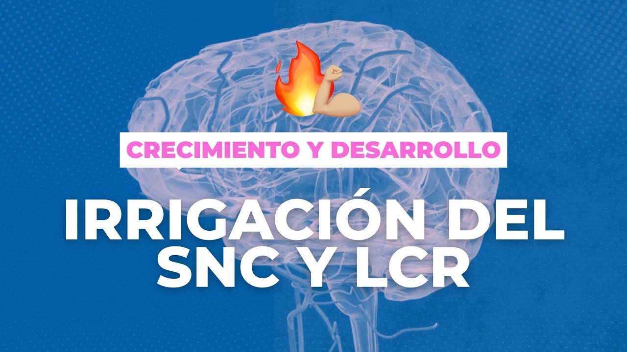 CyD | Irrigación del SNC y LCR