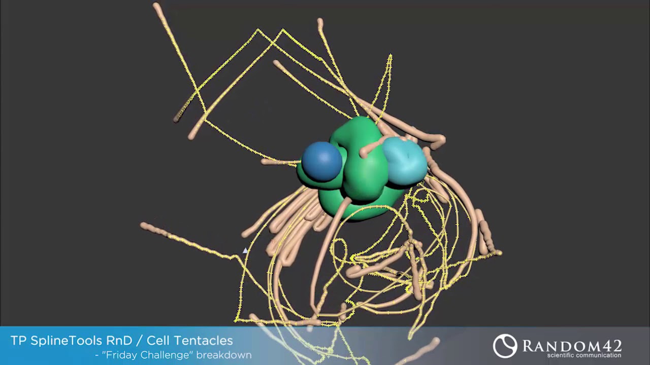 Ribosome Translating and Cell Splines in thinkingParticles