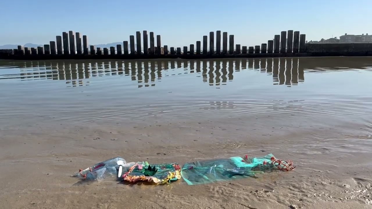 Hydro-rugs adrift at Harmony Park tidal pool