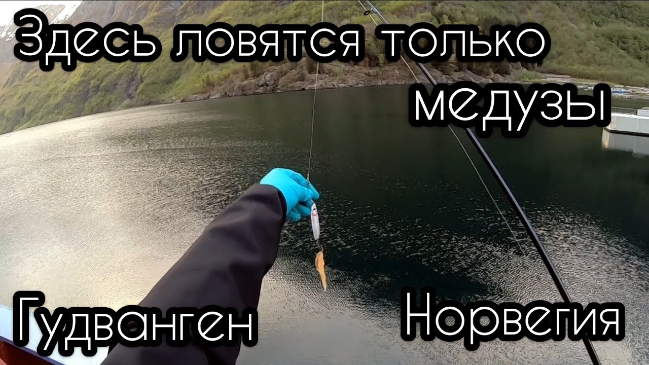 ЗДЕСЬ ЛОВЯТСЯ ТОЛЬКО МЕДУЗЫ | ЧАЙНИК ИДЕТ НА РЫБАЛКУ | РЫБАЛКА В НОРВЕЖСКОМ ПОРТУ ГУДВАНГЕН