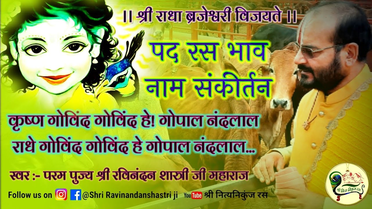 कृष्ण गोविंद गोविंद हे गोपाल नंदलाल...नाम संकीर्तन! पद रस भाव! // Shri ravinandan shastri ji //