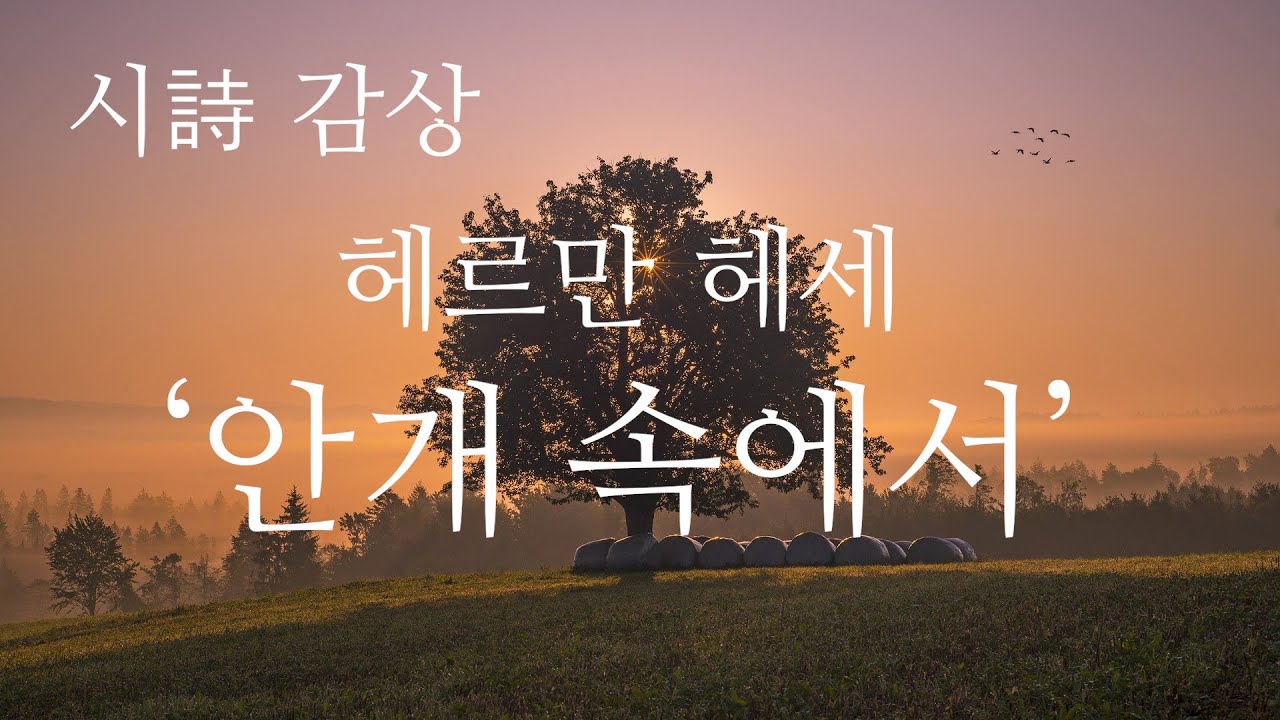 [시 감상] 헤르만 헤세 - '안개 속에서'