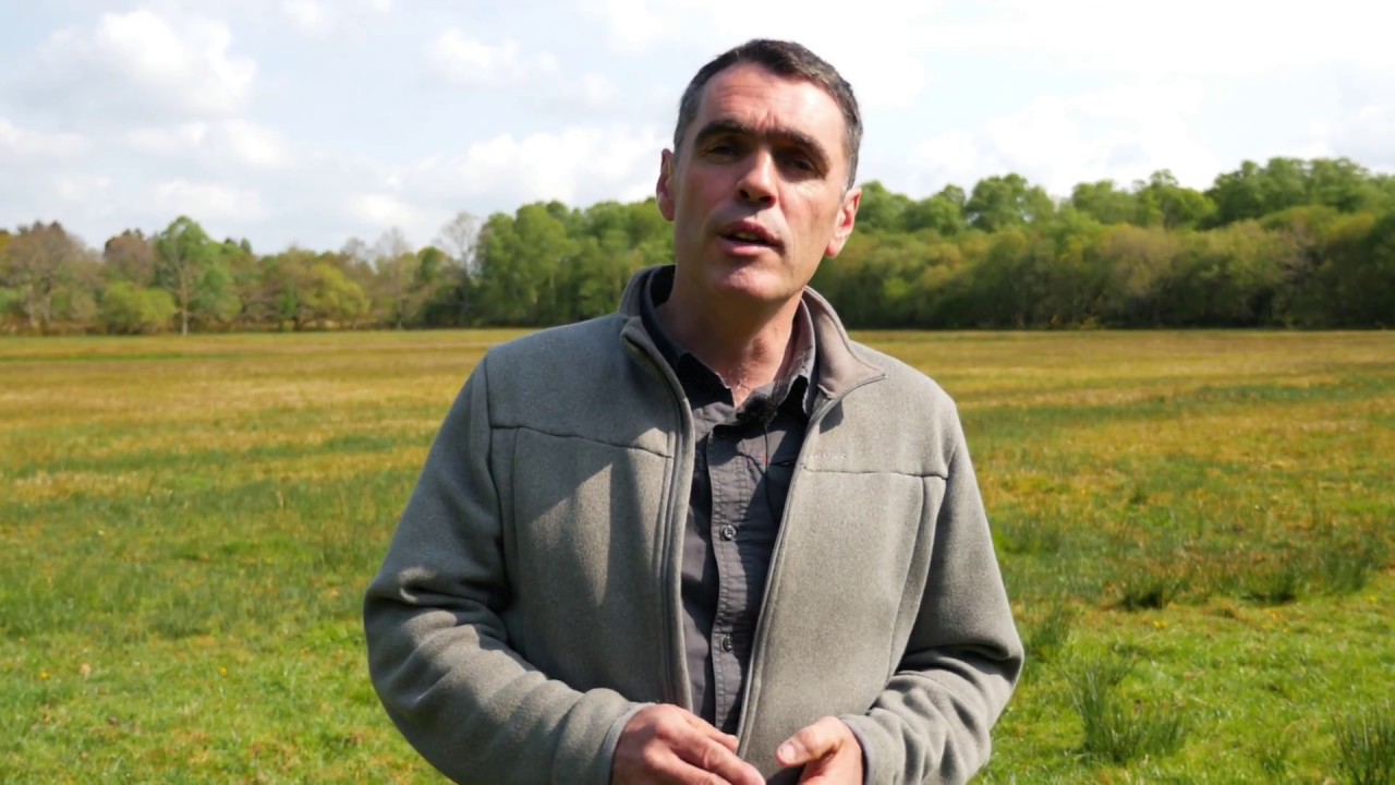 Gestion agricole des zones humides