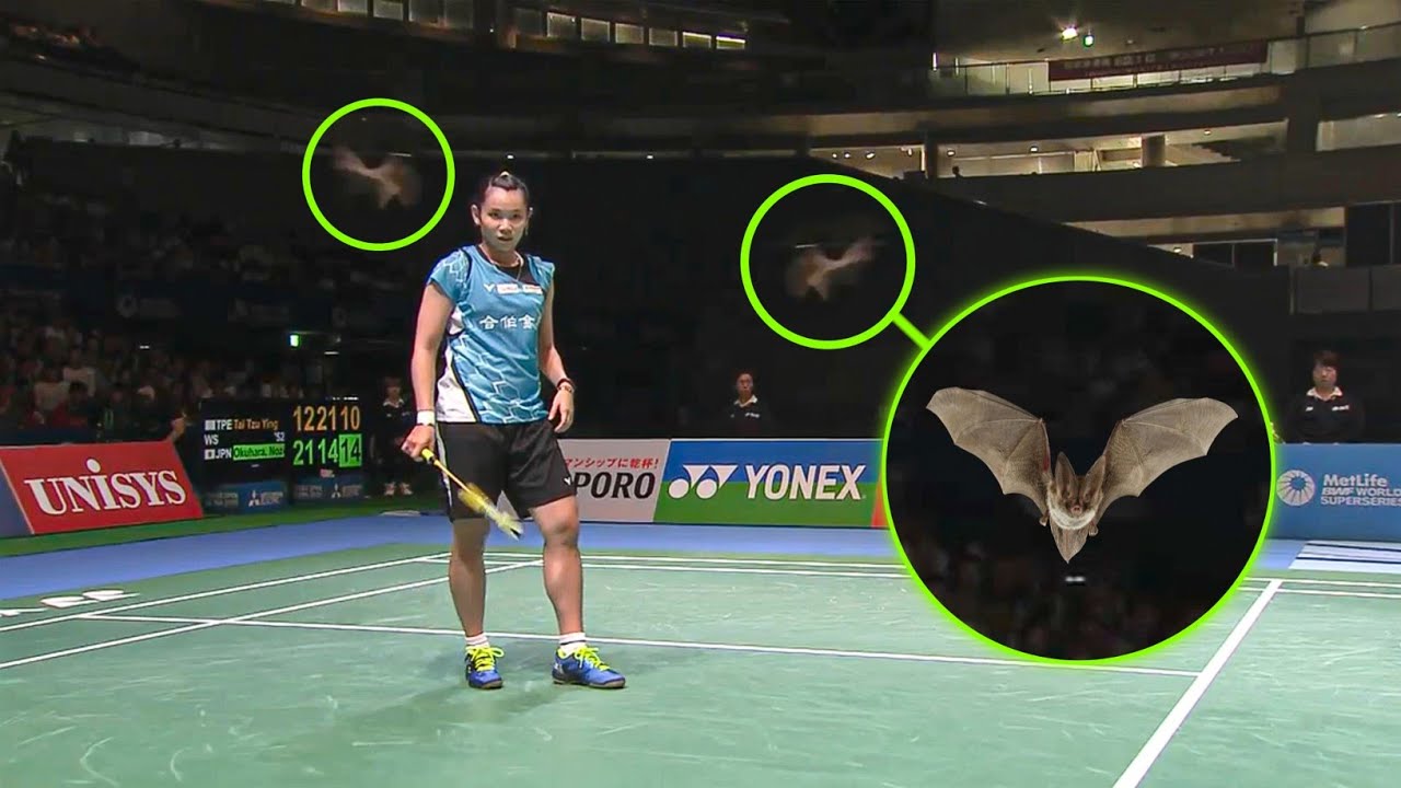 If You Laugh, You LOSE | Badminton Comedy