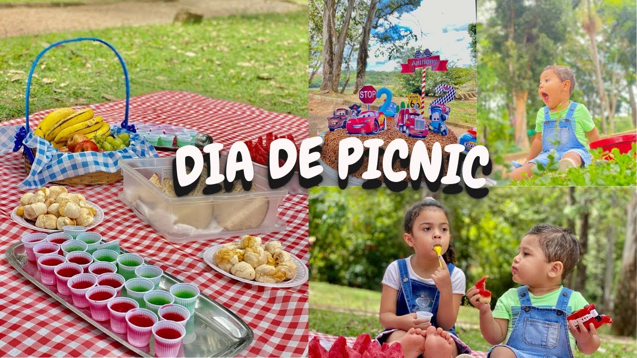 COMEMORAMOS O ANIVERSÁRIO DO ANTHONY COM UM PIQUENIQUE / Piquenique simples no parque