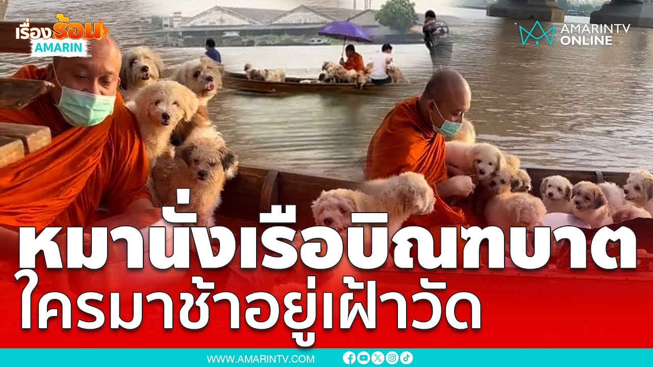 น่ารักเกินเบอร์ แก๊งหมานั่งเรือบิณฑบาตแต่เช้า | เรื่องร้อนอมรินทร์