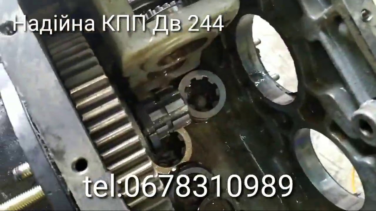 Надійна КПП ⚙️DW 244🔧 Ремонтується Легко🚜