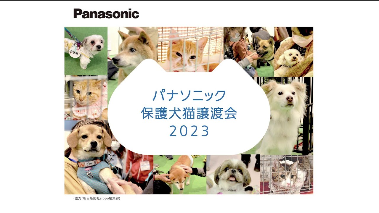 パナソニック保護犬猫譲渡会2023【パナソニック公式】