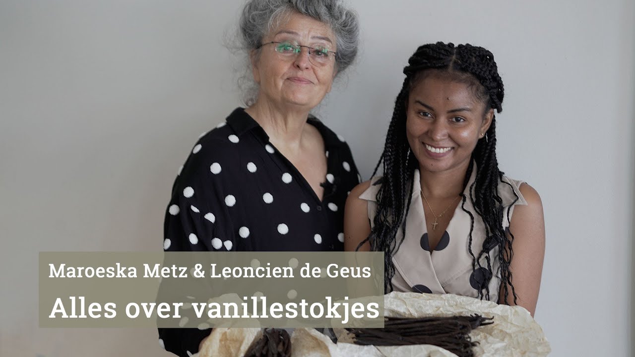 Alles over vanillestokjes