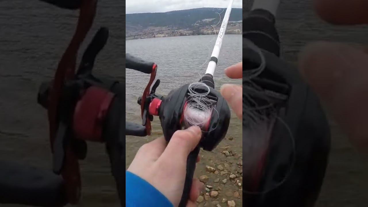 Как быстро и эффективно избавиться от негативной реакции #Shorts