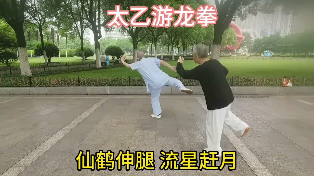 武当太乙游龙拳—仙鹤伸腿、流星赶月。