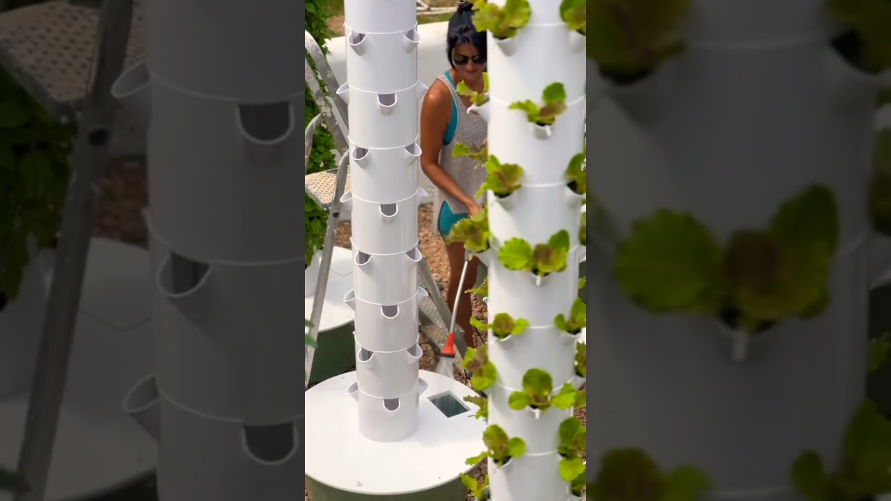 HORTA VERTICAL HIDROP&Ocirc;NICA, COISAS DO AGRO #farm