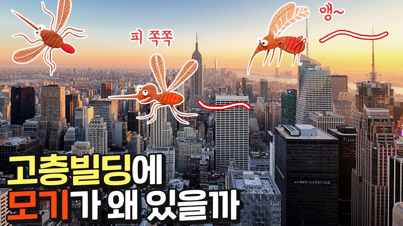 벌레는 몇 층까지 들어올 수 있을까