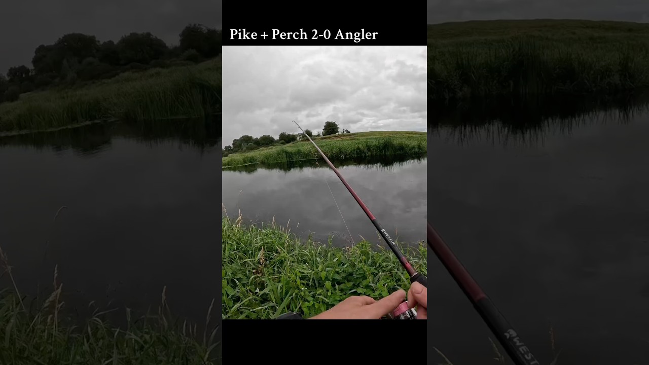 W6 Westin Streetstick 2-10g 243 cm (full review soon) #westinfishing #fishing #fish