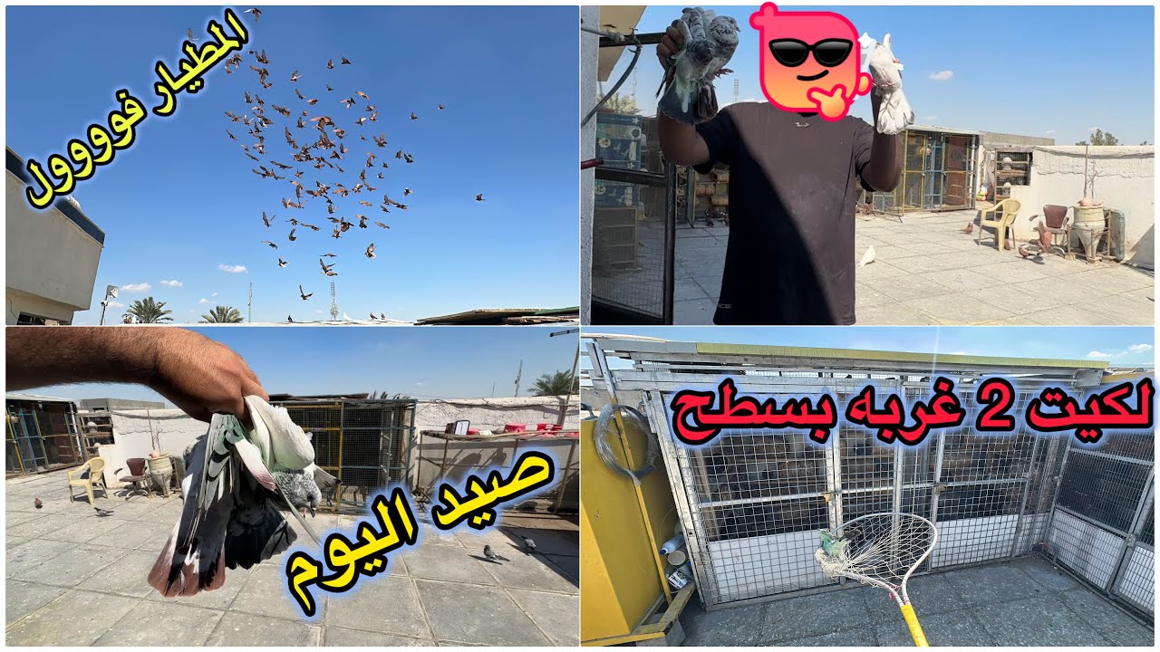 صيد اليوم❤️❤️خابروني ع طيور حاطه عليه😭مطيار الحمر عالمي😎😎😎