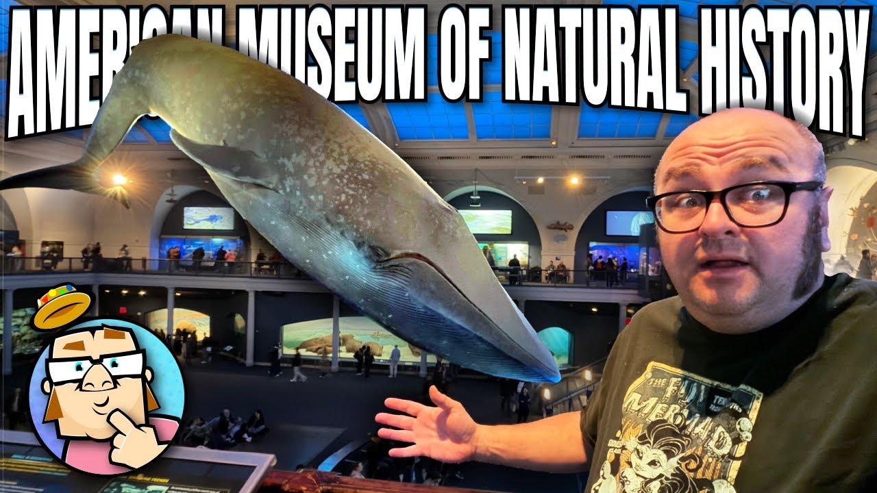 American Museum of Natural History - Sarge's Delicatessen New York, New York