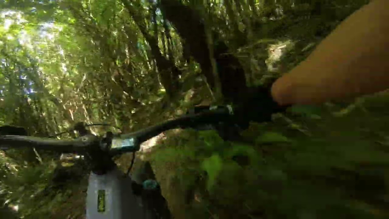 All time colonial favourite trail at colonial knob Porirua MadMax what’s your favorite local trail? 