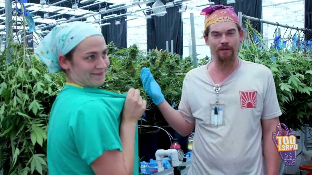 To T3rpd Present's: Behind The Grow ft. Robust Cannabis