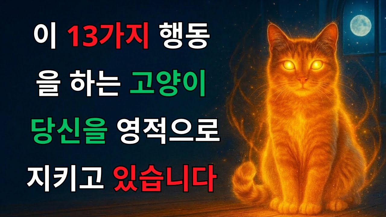 우주가 당신에게 고양이를 보냈을까?영적 보호의 분명한 13가지 신호