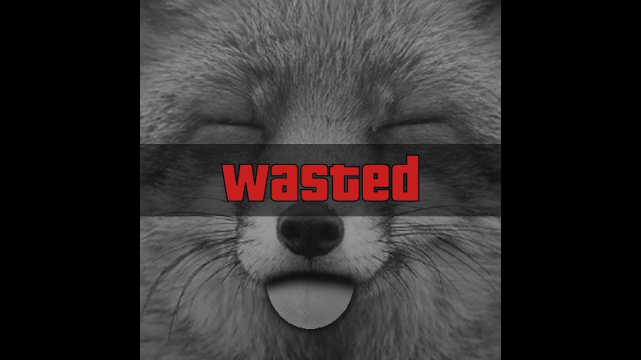 Samifying&acute;s saddest moment - Little stream highlight