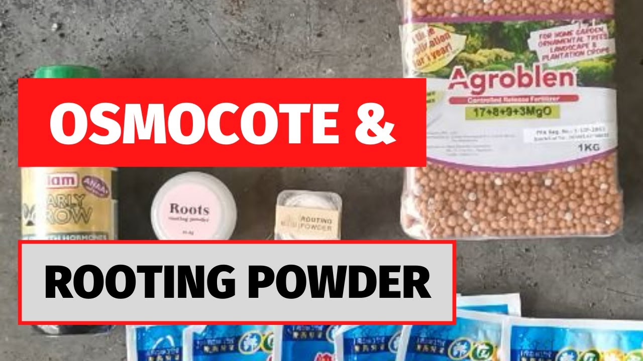 Unboxing 12.12 Orders: Agroblen (Osmocote) and 4 Brands of Rooting Hormone / Powder | Candid Garden