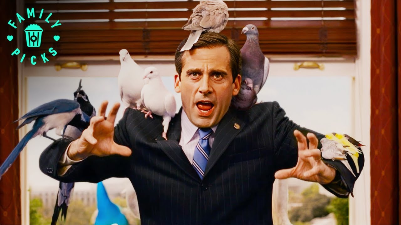Animals Flock to Evan | Evan Almighty