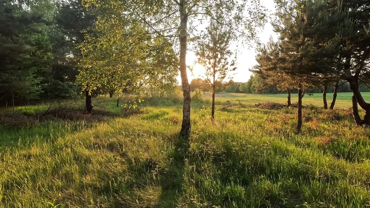 Przemyśl - Końskie. Green velo 3 (i dalej)
