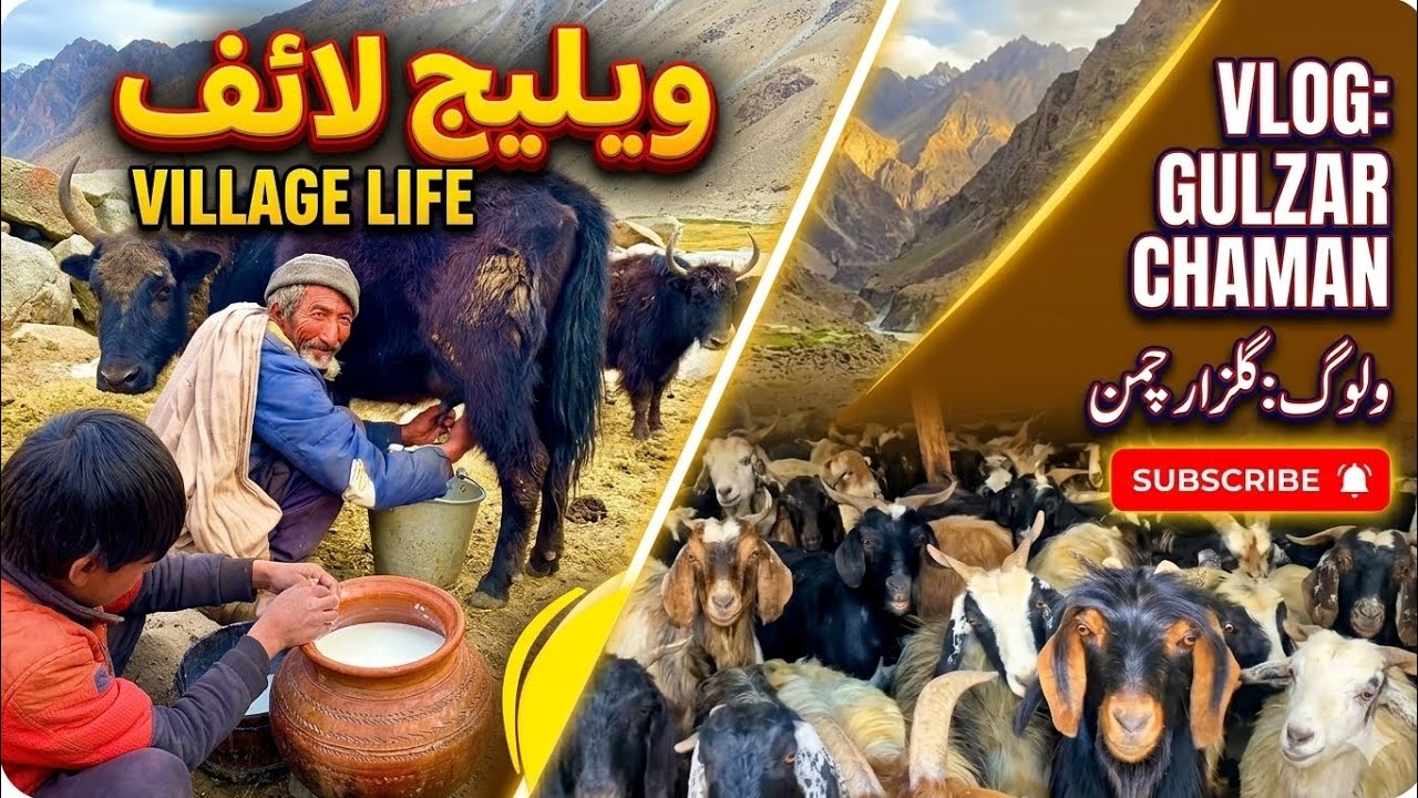 Ghavis Kharmang valley #villagerlifestyle #villageactivities#historicalmethod