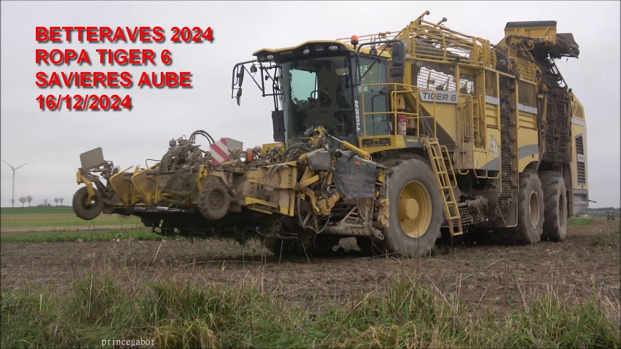 BETTERAVES 2024 /ROPA TIGER 6 / SAVIERES / AUBE / 16 déc 2024