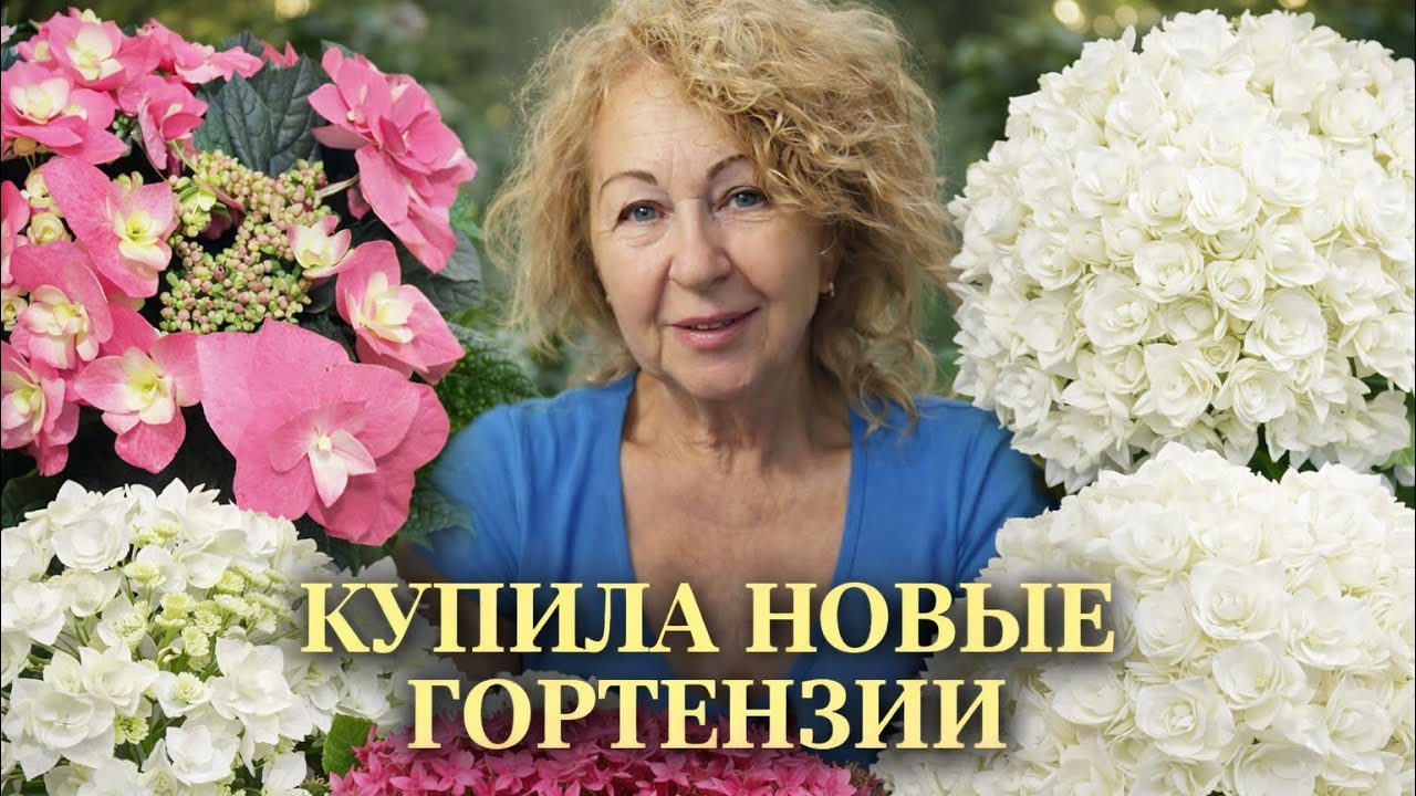 Распаковка посылки 📦 гортензии 🌸 новые сорта 